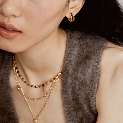 Tiger's Eye Earrings
